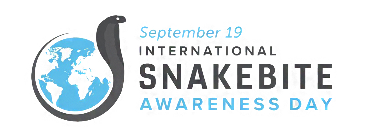 Stem Cell Transplant